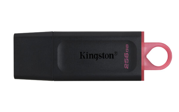 Kingston DataTraveler Exodia - Unidad flash USB - 256 GB - USB 3.2 Gen 1 - negro/rosa - Image 2