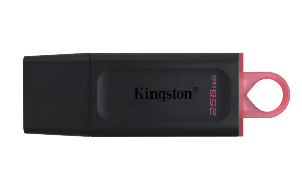 Kingston DataTraveler Exodia - Unidad flash USB - 256 GB - USB 3.2 Gen 1 - negro/rosa - Imagen 2