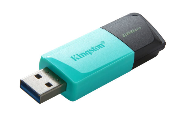 Kingston DataTraveler Exodia M - Unidad flash USB - 256 GB - USB 3.2 Gen 1 - Imagen 6