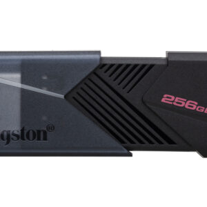 Kingston DataTraveler Onyx - Unidad flash USB - 256 GB - USB 3.2 Gen 1 - negro mate