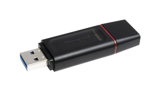Kingston DataTraveler Exodia - Unidad flash USB - 256 GB - USB 3.2 Gen 1 - negro/rosa - Imagen 6
