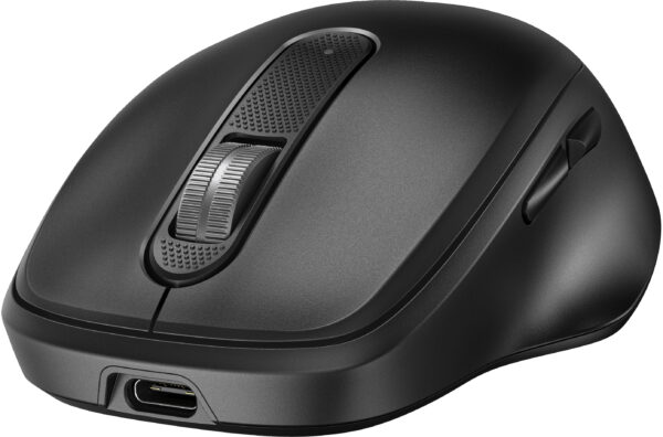 HP - Mouse - Wireless - 9C2F6AA#ABA - Imagen 13