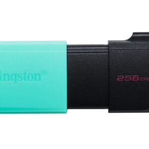 Kingston DataTraveler Exodia M - Unidad flash USB - 256 GB - USB 3.2 Gen 1