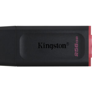 Kingston DataTraveler Exodia - Unidad flash USB - 256 GB - USB 3.2 Gen 1 - negro/rosa