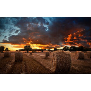 Samsung VM46B-U - 46" Clase diagonal VMB-U Series pantalla LCD con retroiluminación LED - señalización digital - 1080p 1920 x 1080